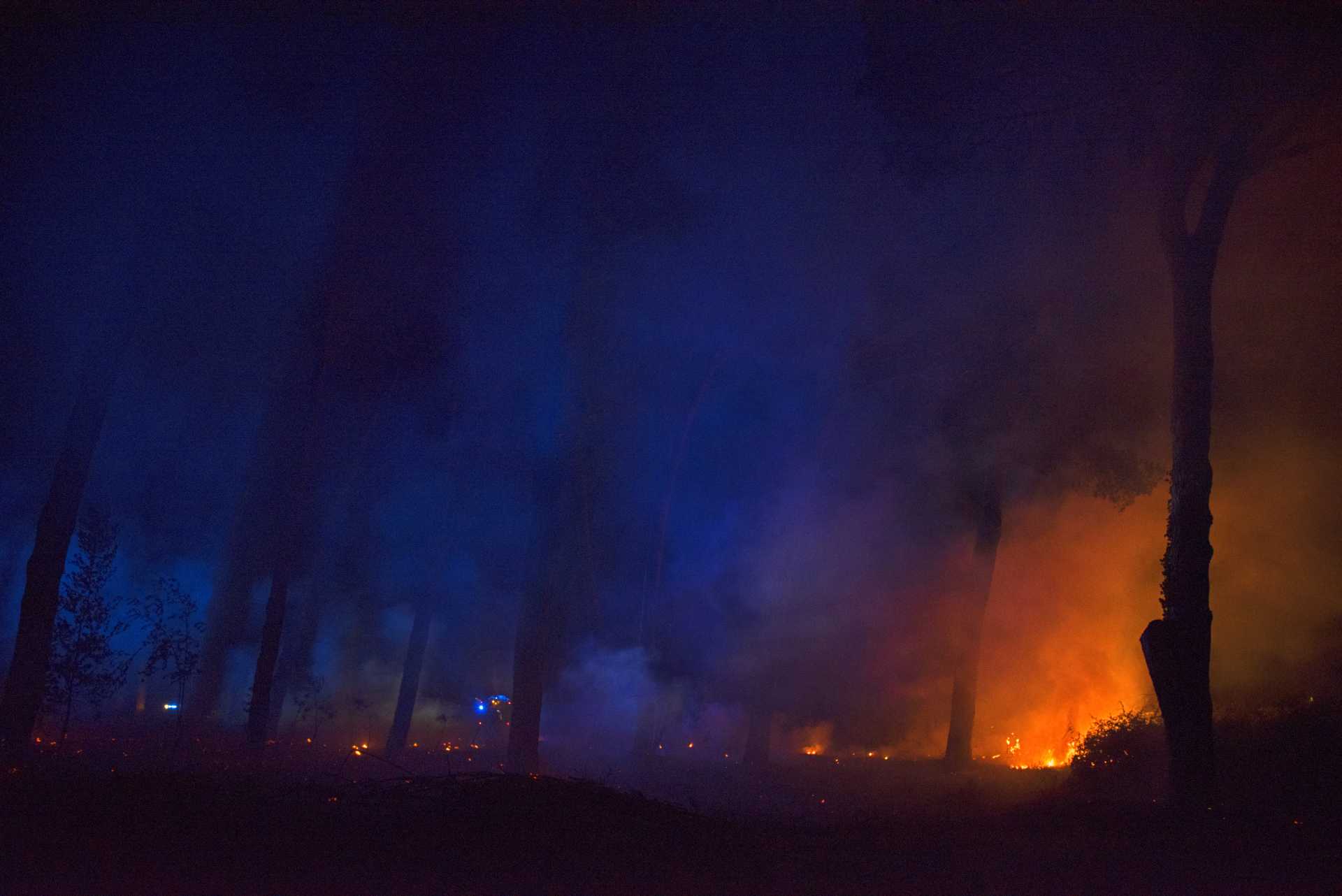 Incendio nella pineta delle Acque Rosse